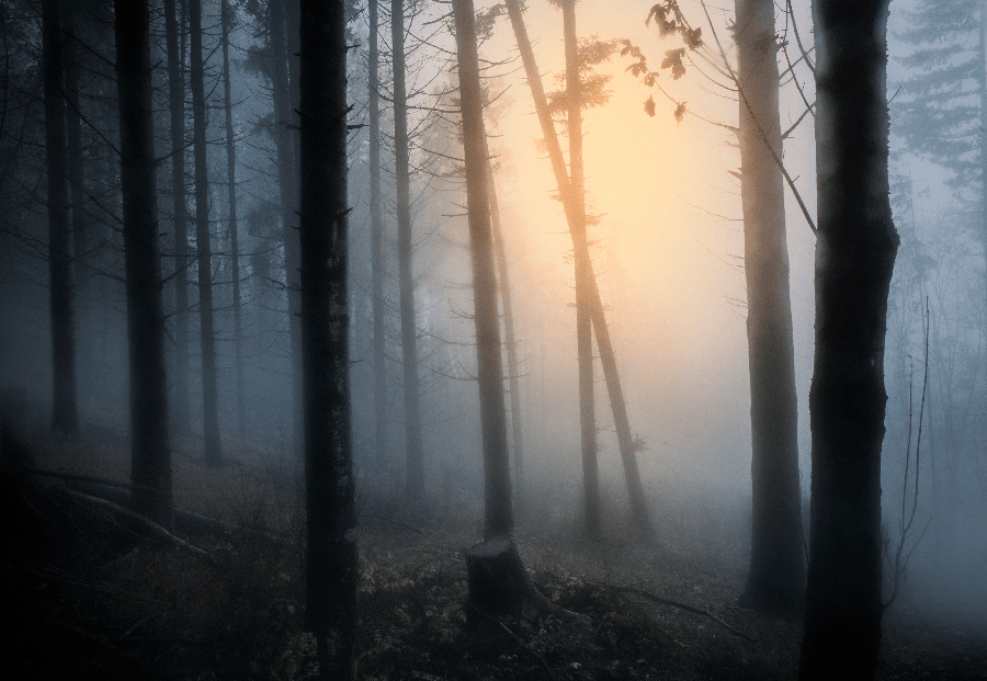 Sombre mais envoutante, plongez dans l'atmosphère cinématographique de Filippo Giani